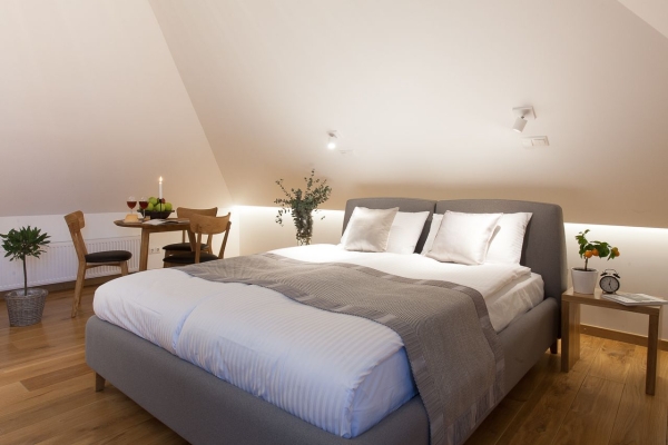Hotel Dvaras Manor House